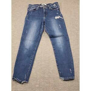 Flying Monkey Blue Distressed Skinny Jeans